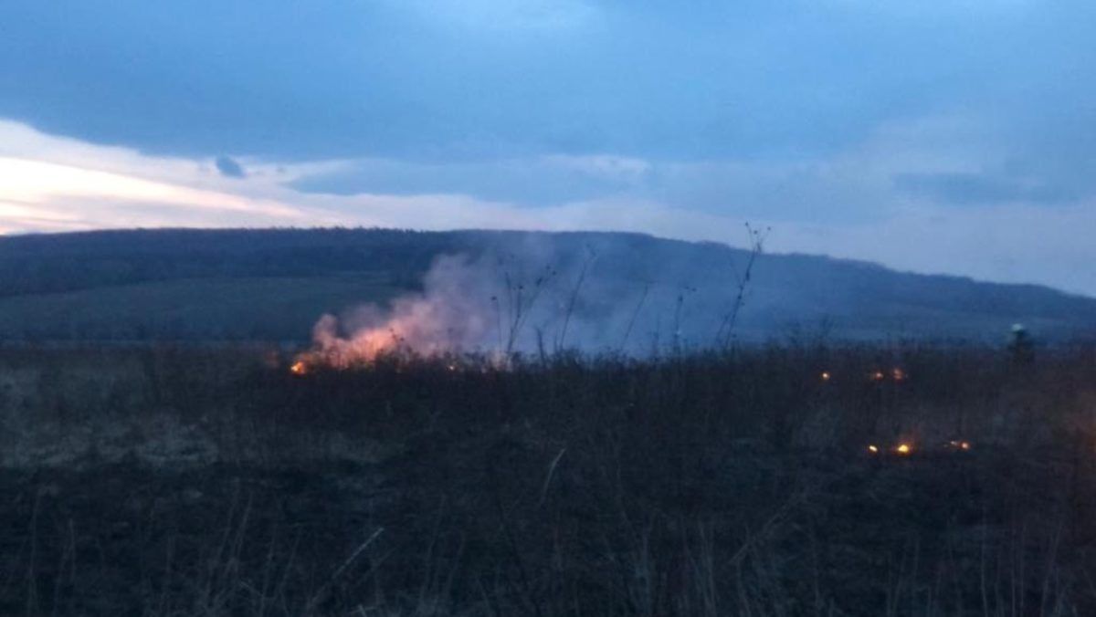 На Коломийщині пожежа: горіла суха трава 1