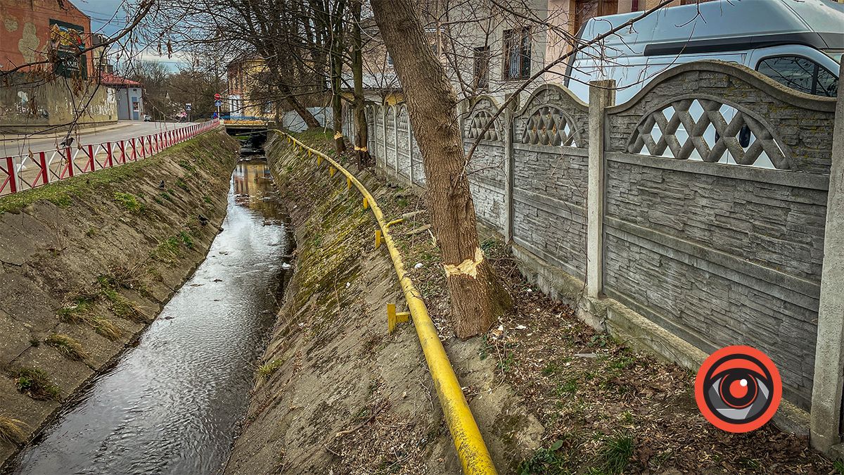 У Коломиї невідомі гралися в бобра: що сталось на вул. С. Тарабалки 1