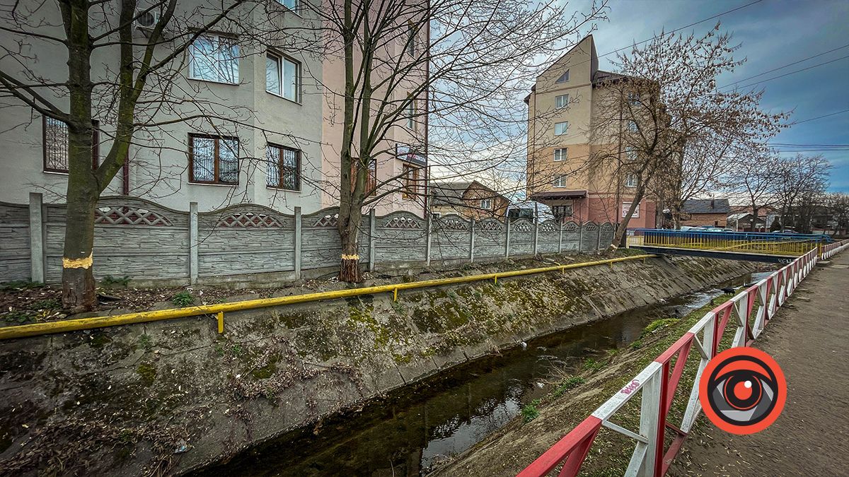 У Коломиї невідомі гралися в бобра: що сталось на вул. С. Тарабалки 3
