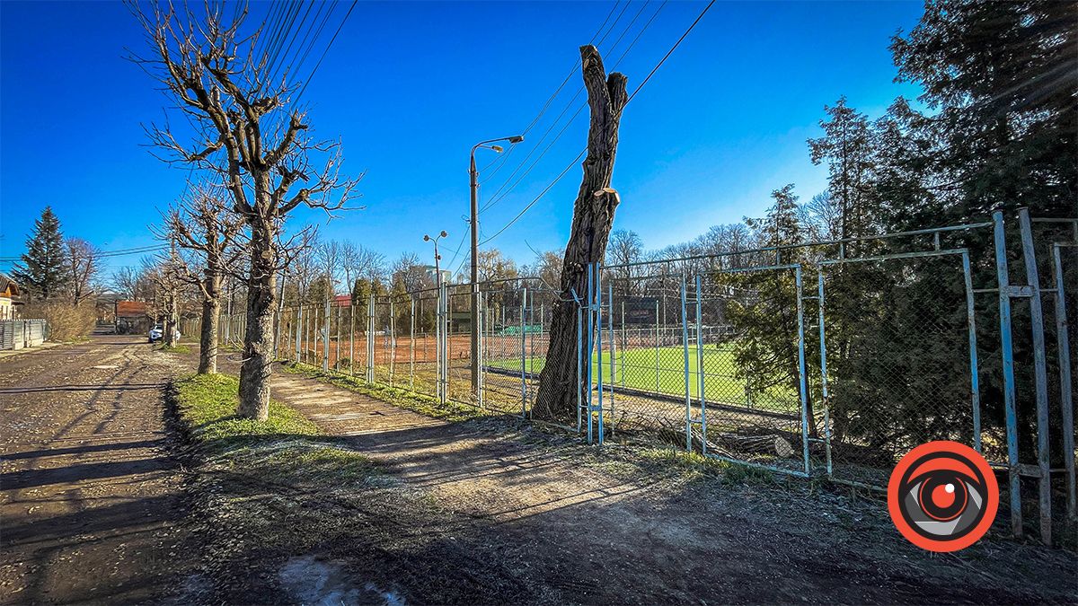 Біля кортів в Коломиї зрізали ряд акацій: як тепер виглядає вул. Кобилянської