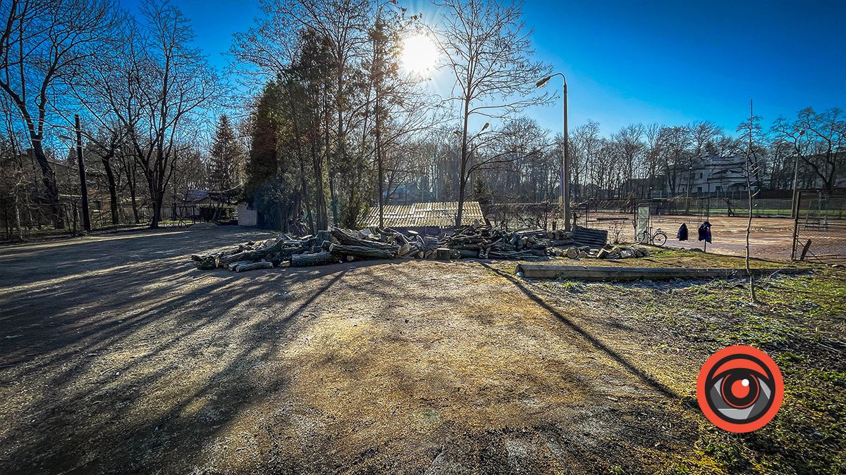 Біля кортів в Коломиї зрізали ряд акацій: як тепер виглядає вул. Кобилянської 3