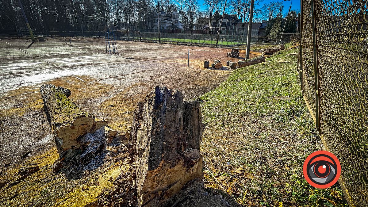 Біля кортів в Коломиї зрізали ряд акацій: як тепер виглядає вул. Кобилянської 9