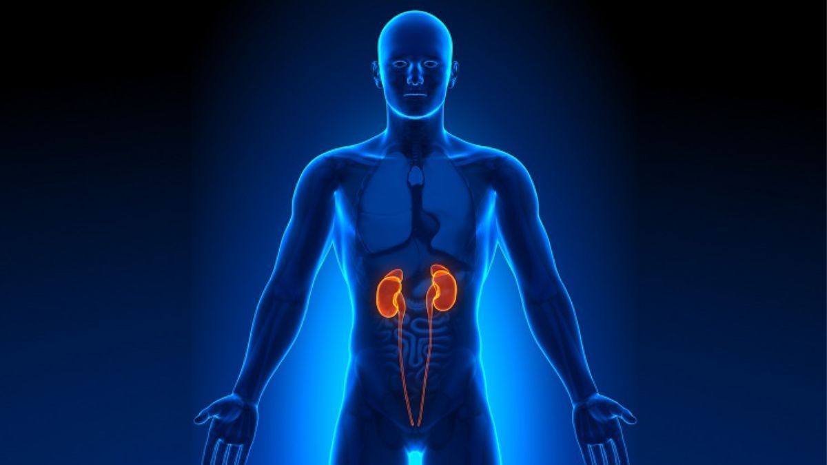 Який сьогодні день? | 9 березня 4