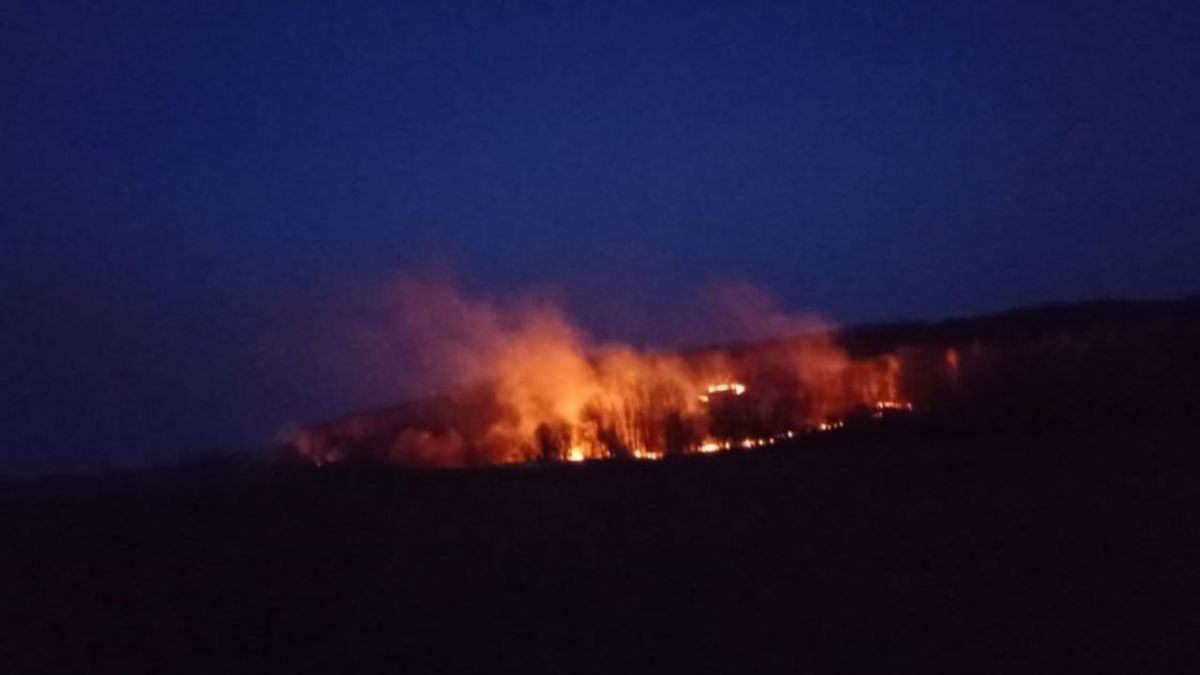 У Заболотівській ТГ горіла суха трава 1