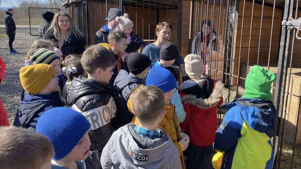 Першокласники Коломийського ліцею №1 завітали у притулок до тварин 2