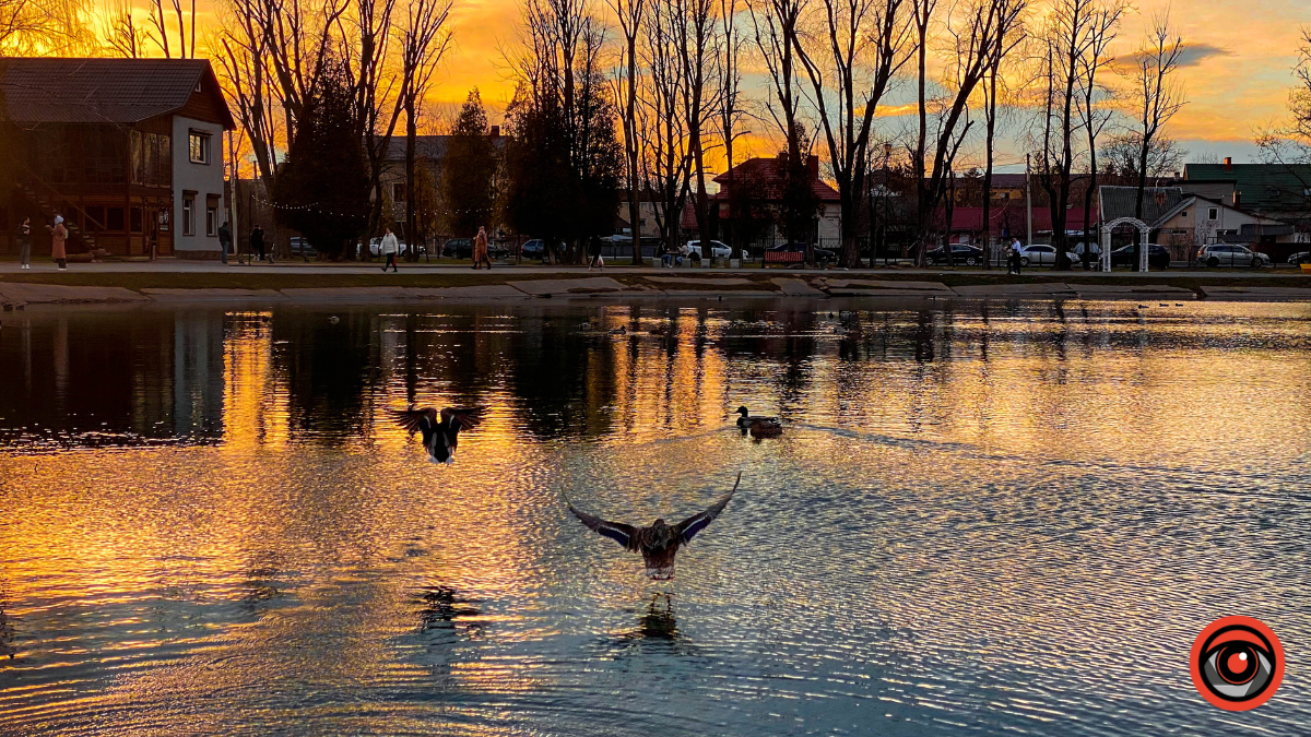 Хмарно з проясненням: погода у Коломиї на 12 березня
