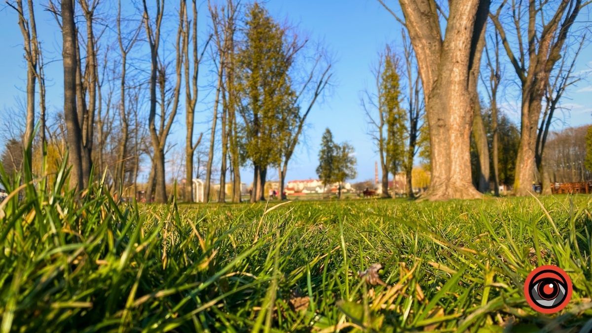 Хмарно, але сонце виглядатиме: погода у Коломиї на 24 березня