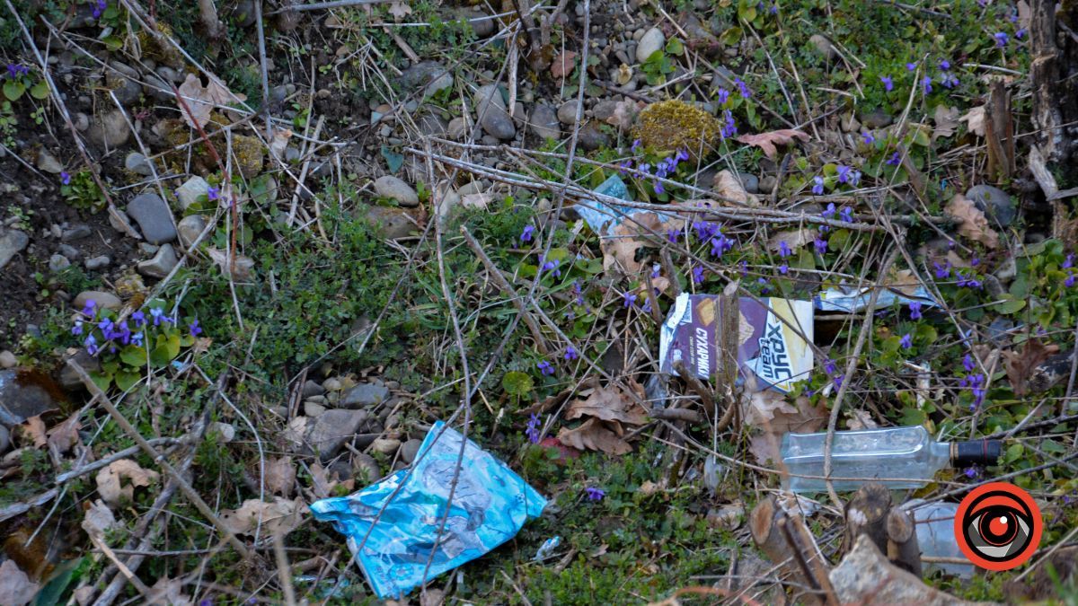 Краса та потворність Шевченківського озера в Коломиї | Фоторепортаж 18