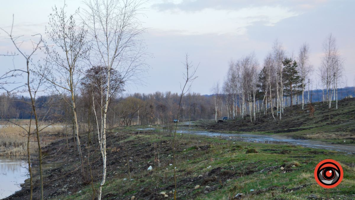 Краса та потворність Шевченківського озера в Коломиї | Фоторепортаж 17