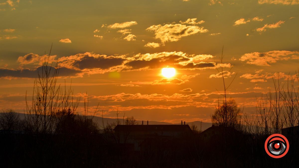 Краса та потворність Шевченківського озера в Коломиї | Фоторепортаж 15