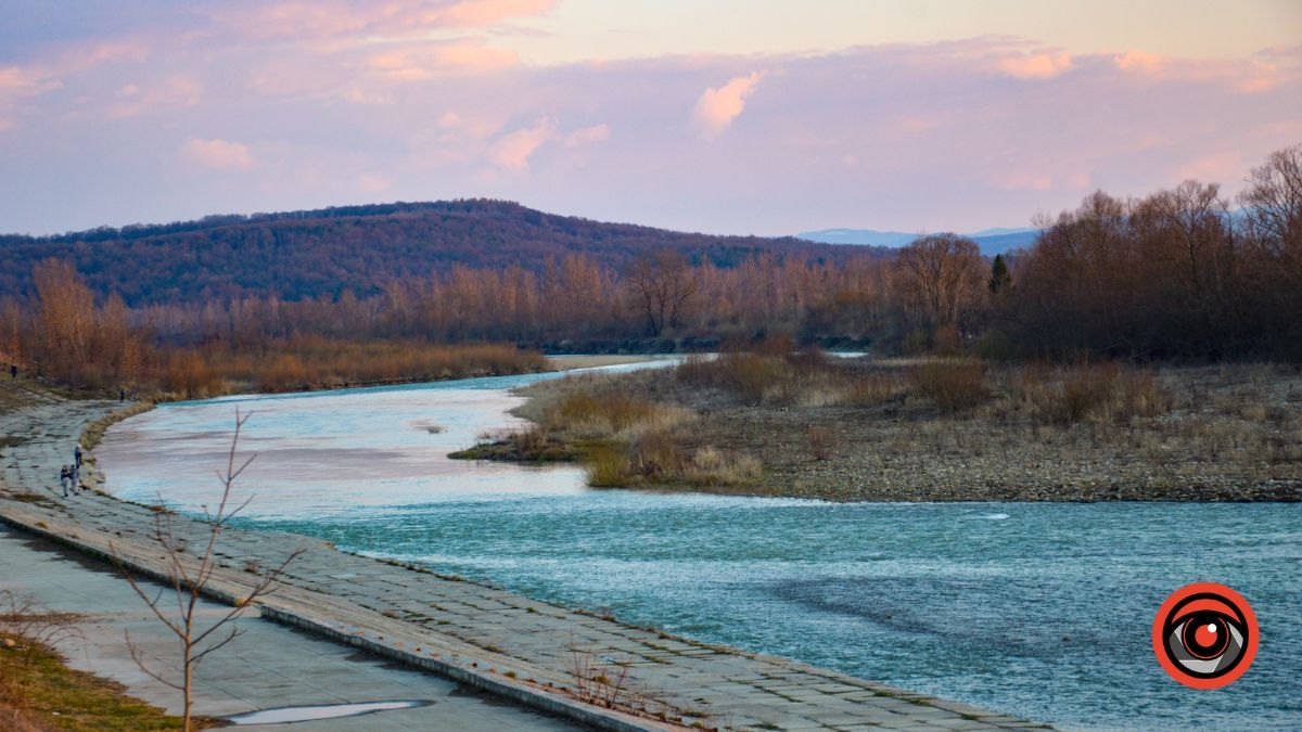 Краса та потворність Шевченківського озера в Коломиї | Фоторепортаж 13