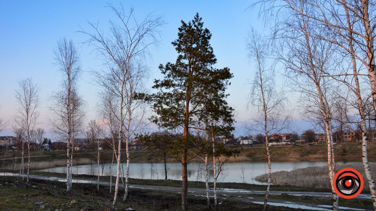 Краса та потворність Шевченківського озера в Коломиї | Фоторепортаж 12
