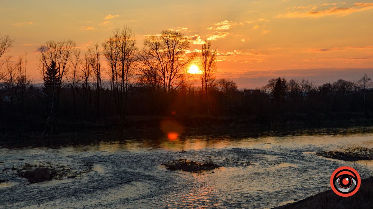 Краса та потворність Шевченківського озера в Коломиї | Фоторепортаж 11