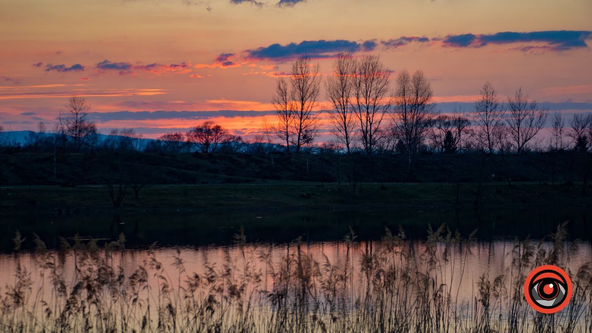 Краса та потворність Шевченківського озера в Коломиї | Фоторепортаж 8