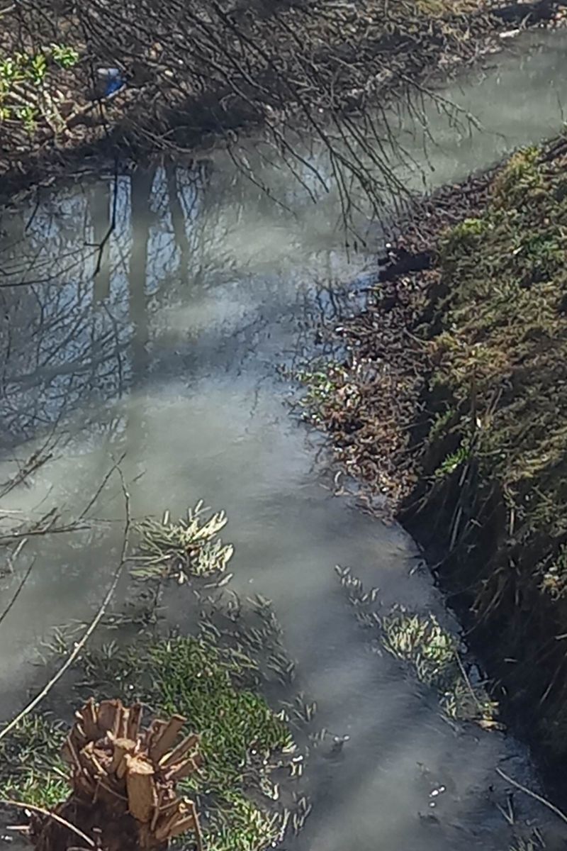 Мутна і біла, наче молоко: у Косові невідомі забруднили річку 1