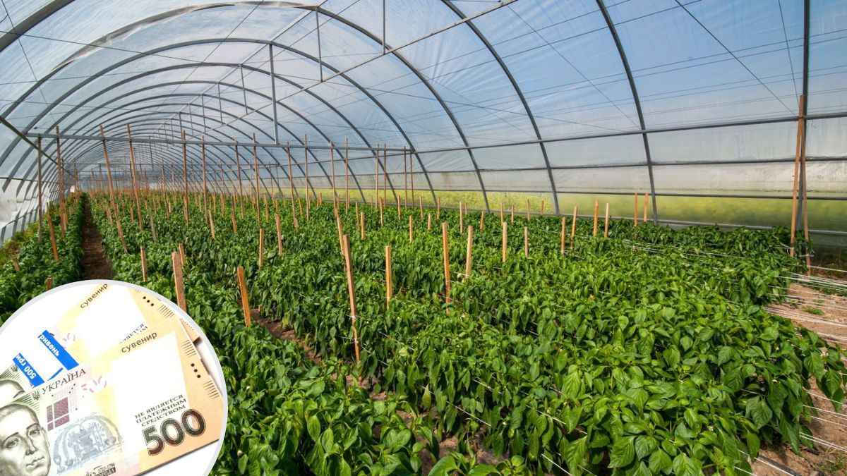 Прикарпаття отримало на садівництво, ягідництво та виноградарство майже 29 млн грн