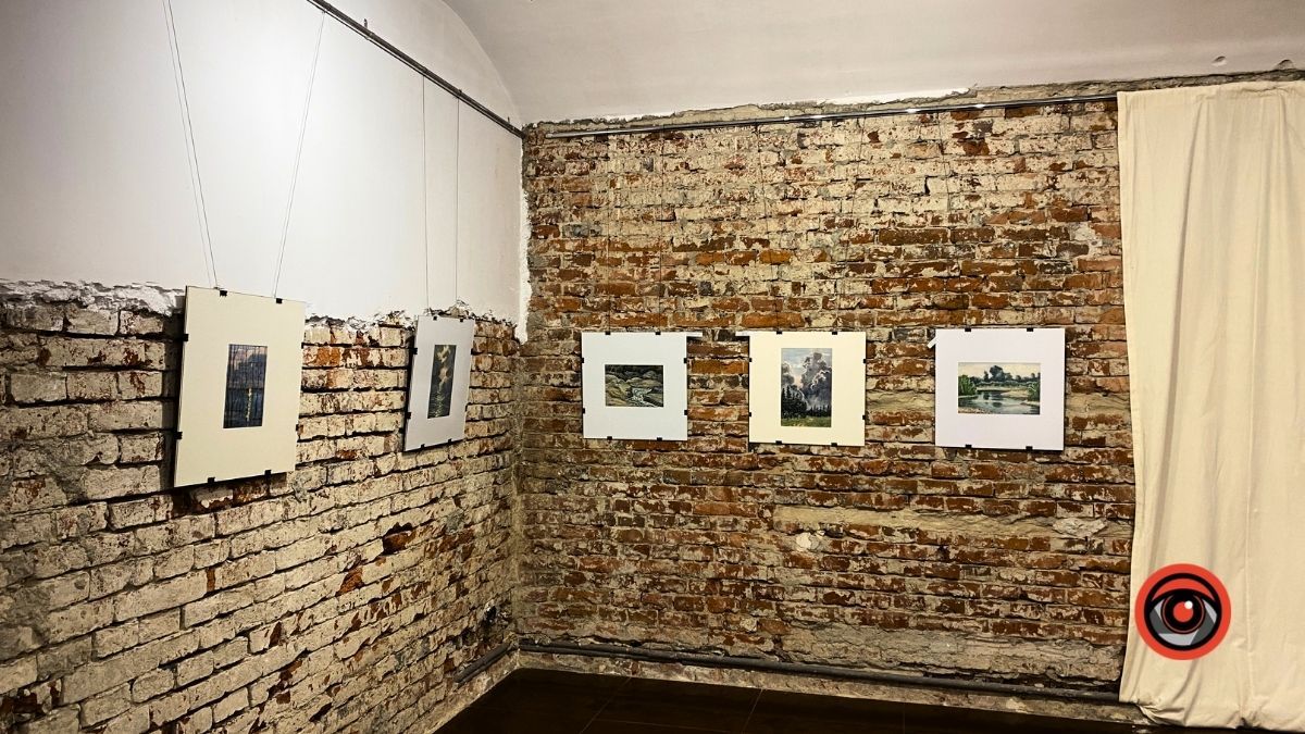 Чим здивує коломиян виставка Вітольди Проців? 3