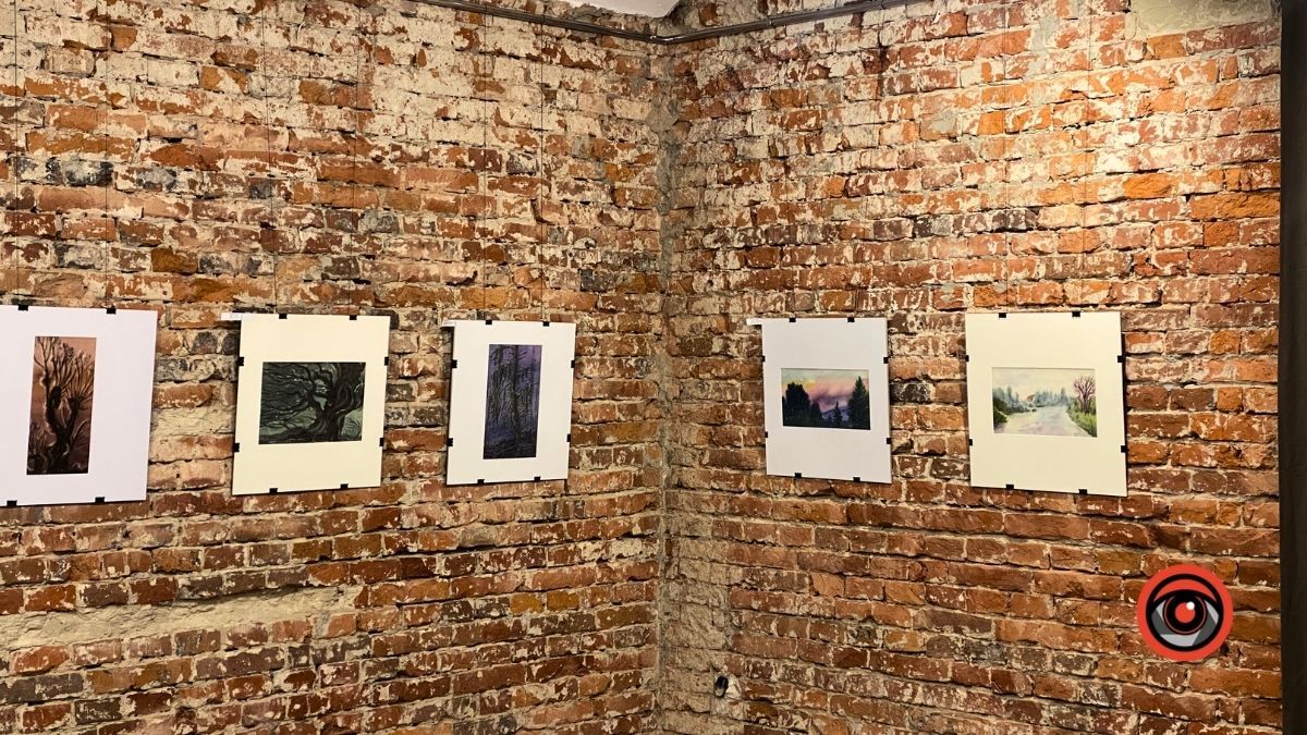 Чим здивує коломиян виставка Вітольди Проців? 4