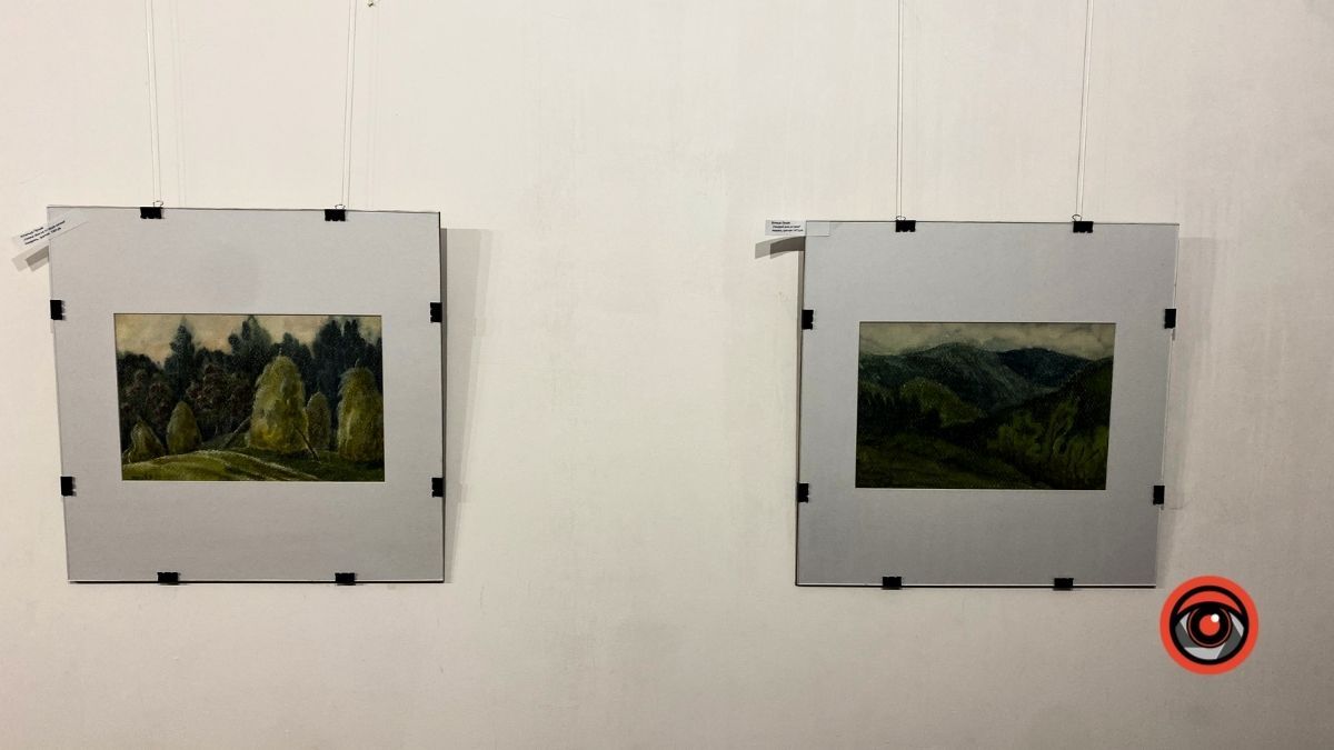 Чим здивує коломиян виставка Вітольди Проців? 5