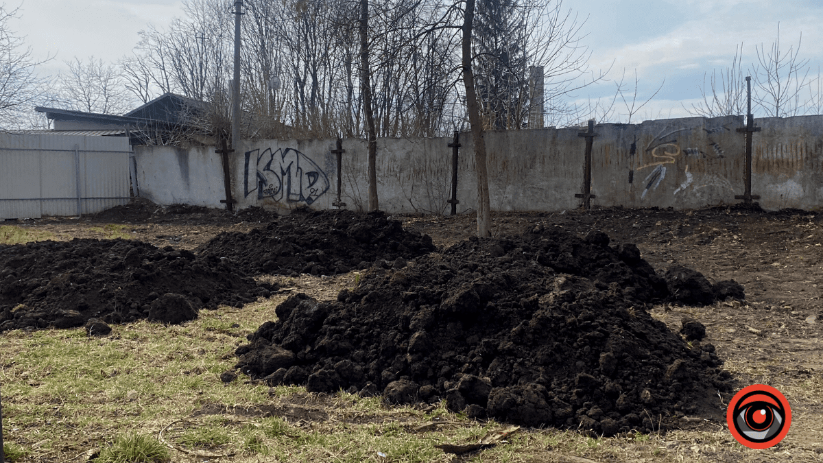 На міському озері у Коломиї обрізають гілки дерев 7