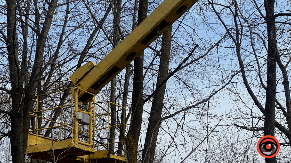 На міському озері у Коломиї обрізають гілки дерев 1