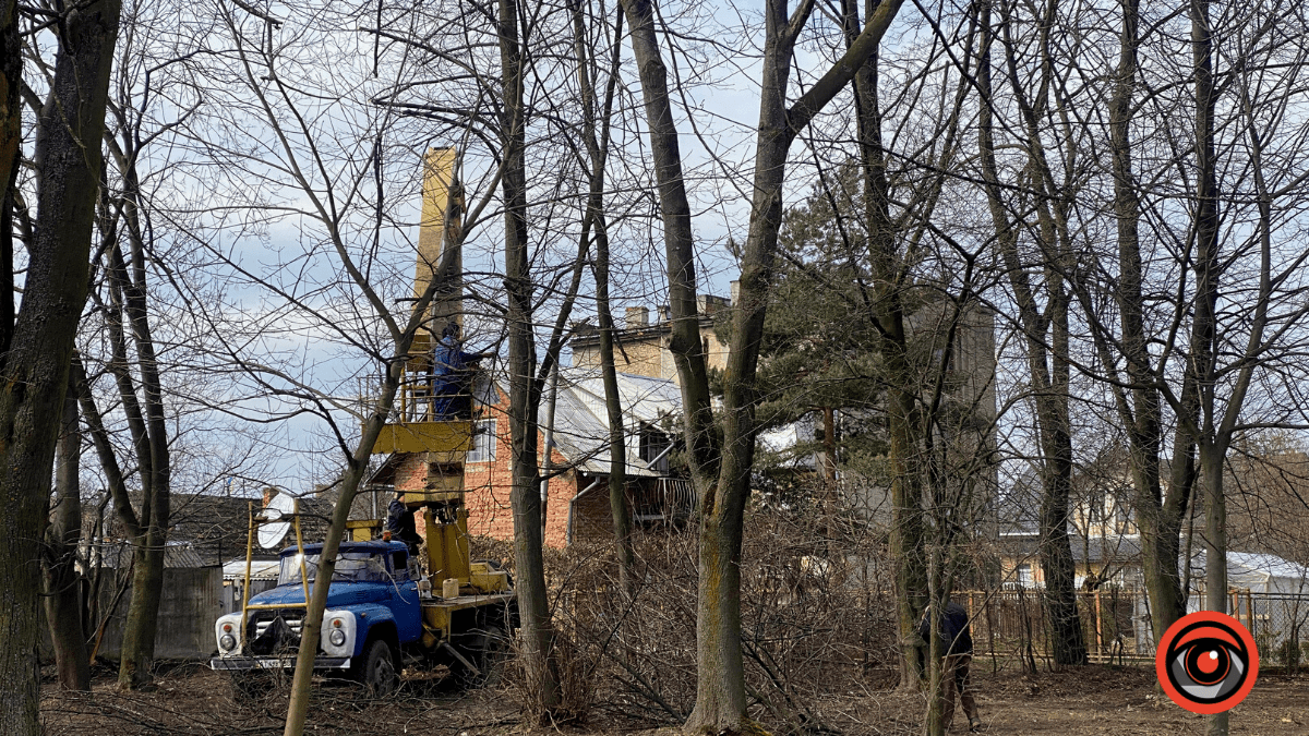 На міському озері у Коломиї обрізають гілки дерев 6