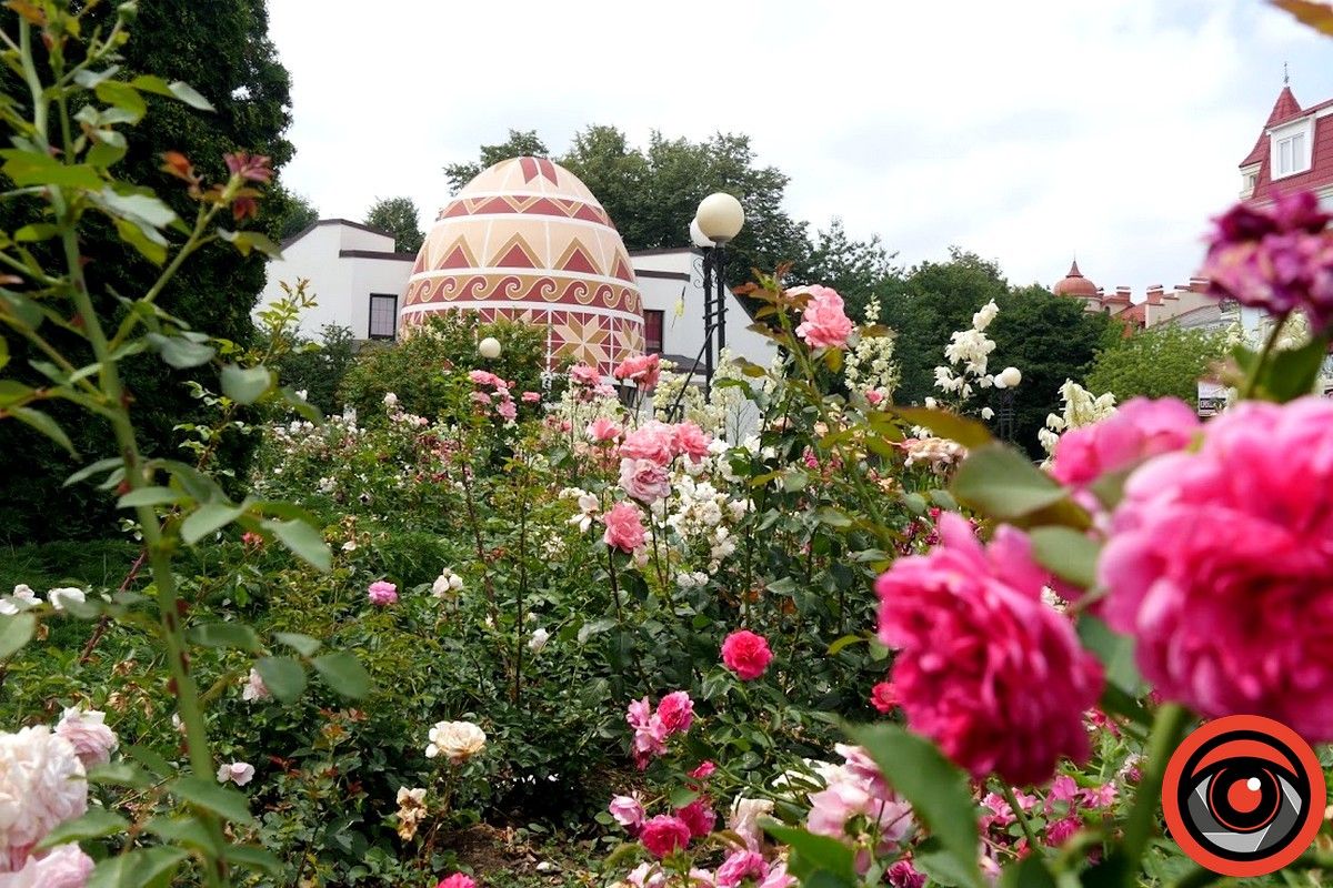 Реконструкцію площі в Коломиї буде здійснювати фірма з Надвірної зі статутним капіталом 1 тис грн 7