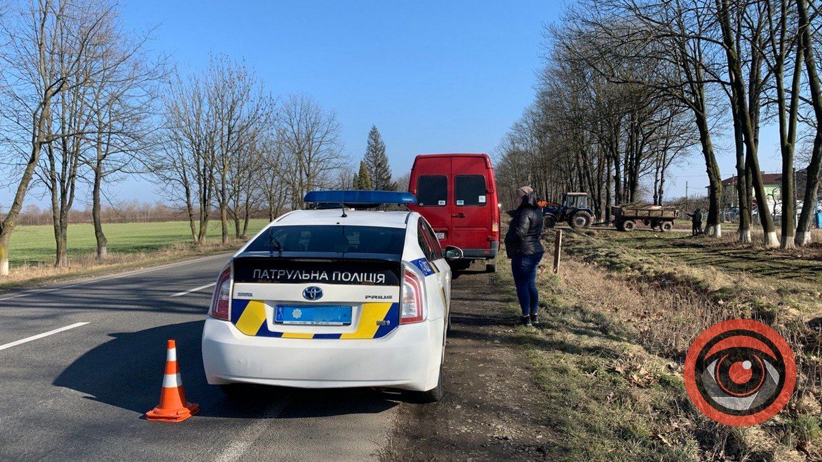 Під Коломиєю дерево впало на мікроавтобус, який їхав по трасі