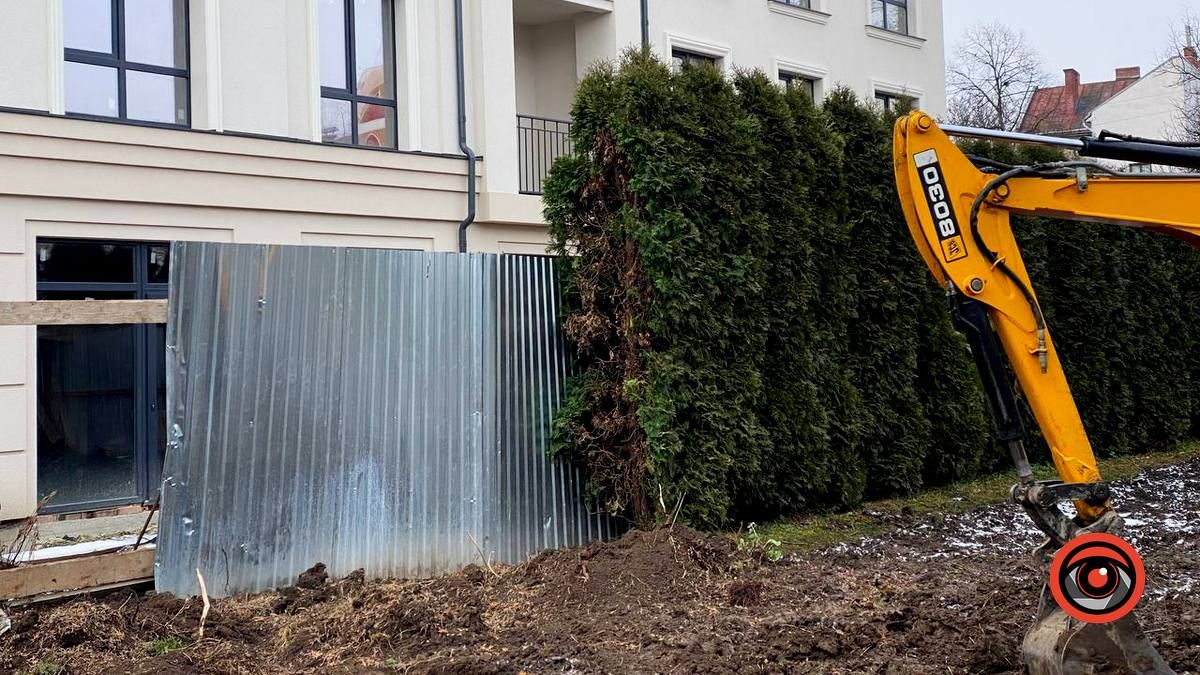 Десятки туй викорчовують перед Писанкою 5