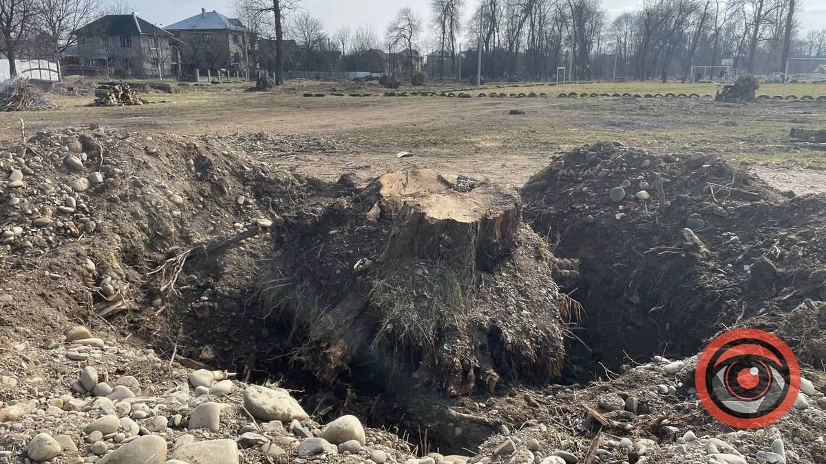 Що тут буде? На Зарінку в Коломиї зрубали близько 25 тополь 3