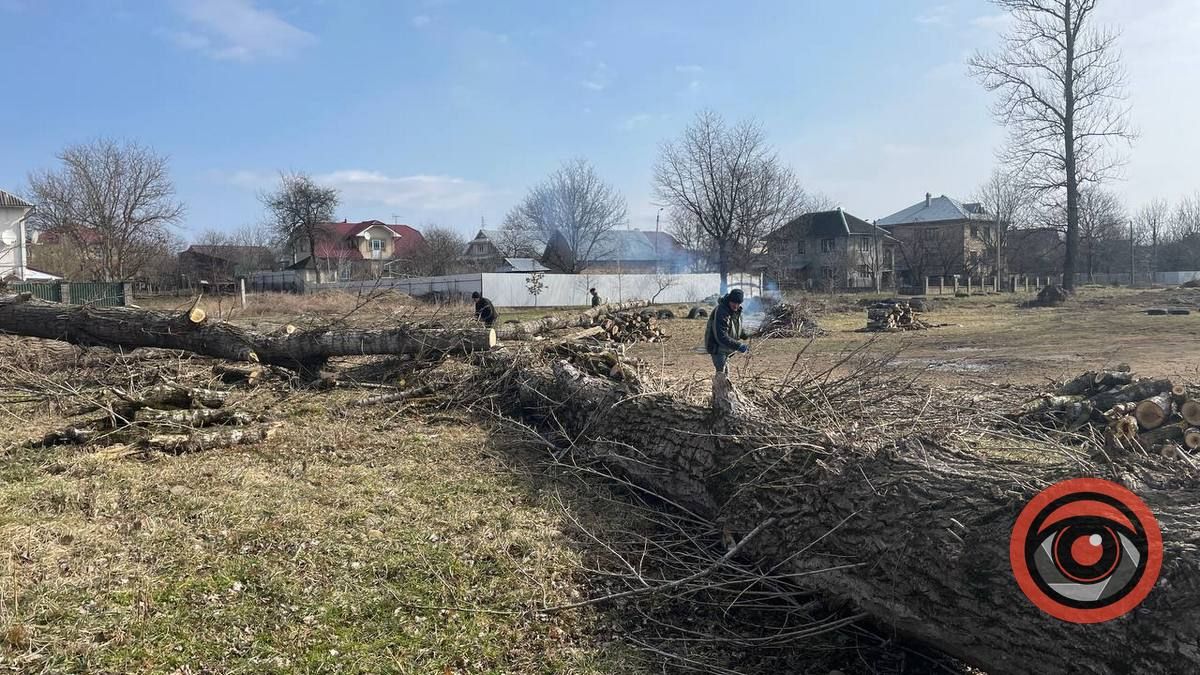 Що тут буде? На Зарінку в Коломиї зрубали близько 25 тополь 2