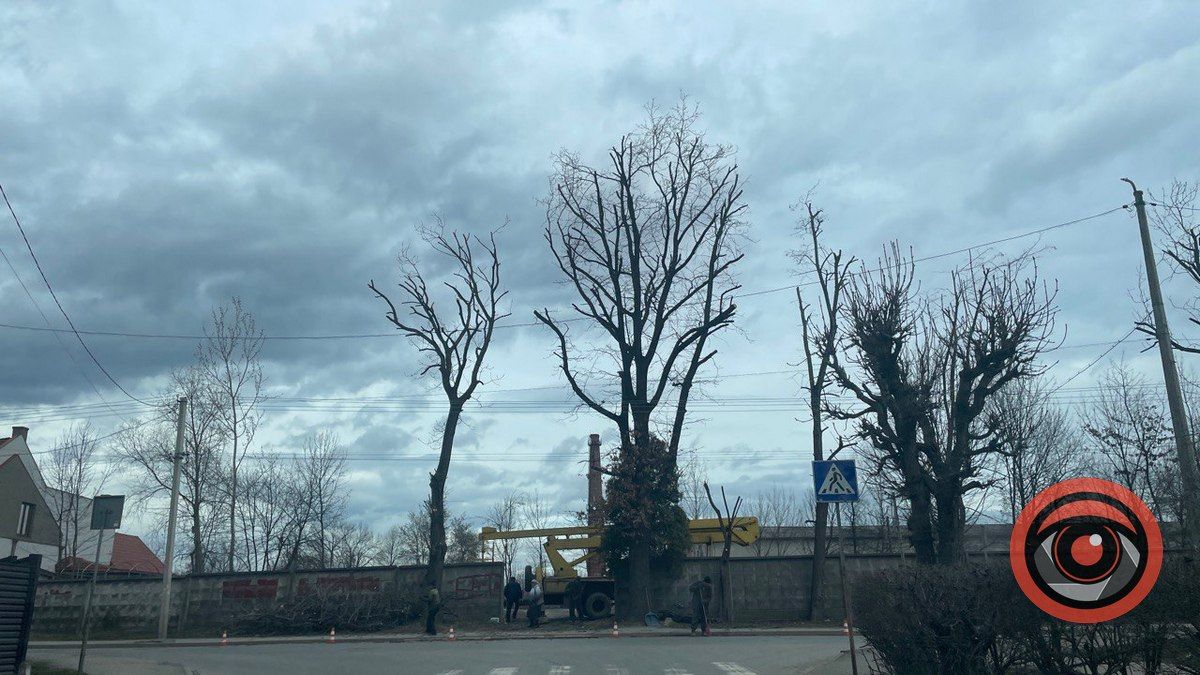 На вулиці Хмельницького обрізають гілки дерев 1