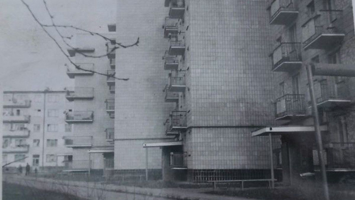 мікрорайон Валова-Коновальця-Лесі Українки, с. ХХст