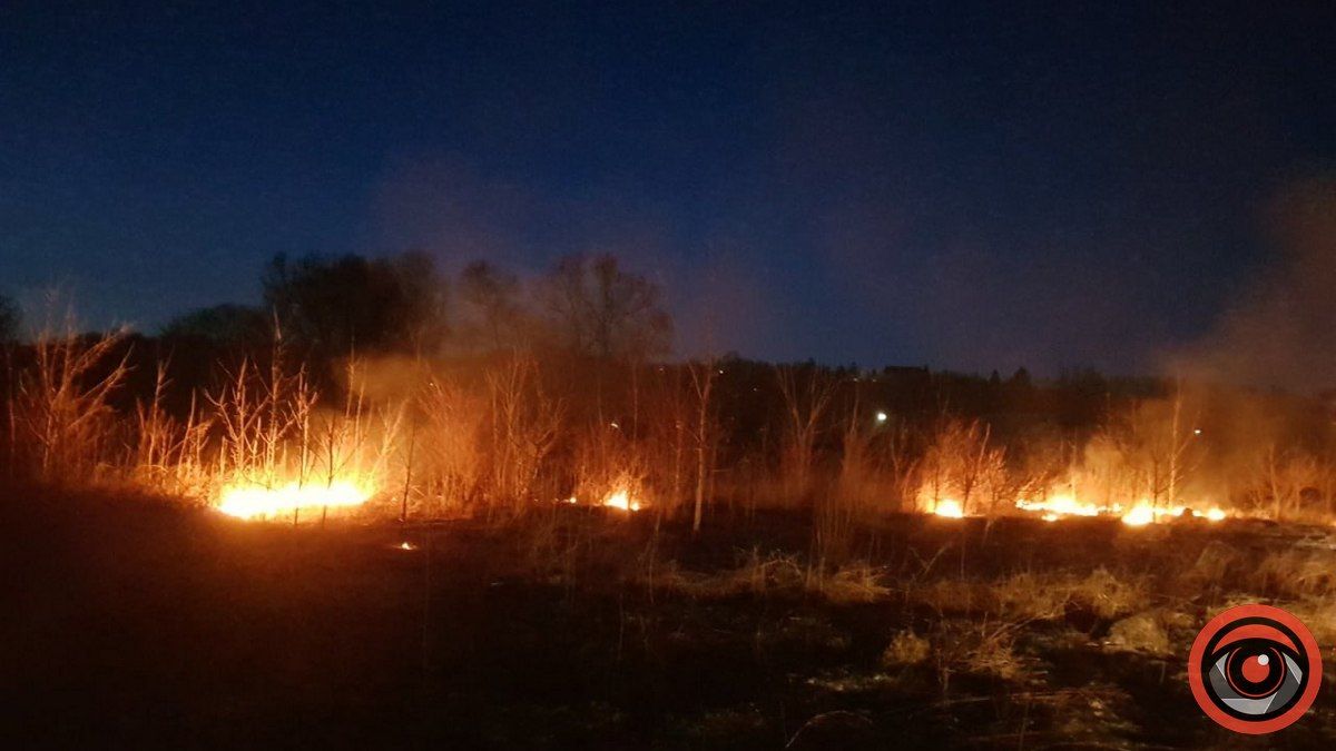 5-та пожежа на Коломийщині за день: у Снятині горіла суха трава 1