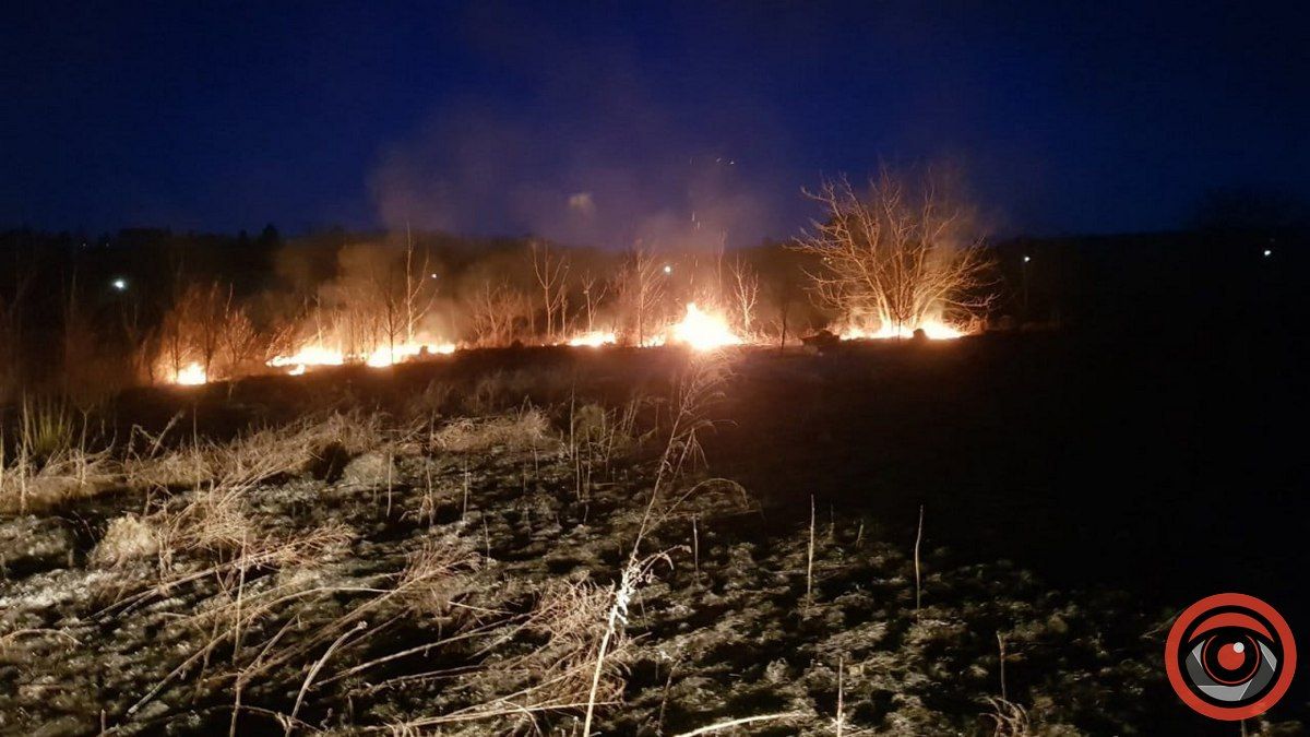 5-та пожежа на Коломийщині за день: у Снятині горіла суха трава 2
