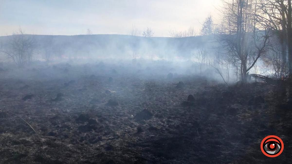 На Коломийщині горіла лісопосадка 3