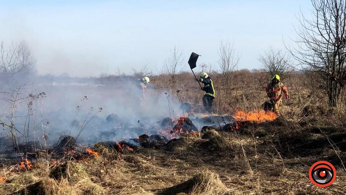 На Коломийщині горіла лісопосадка