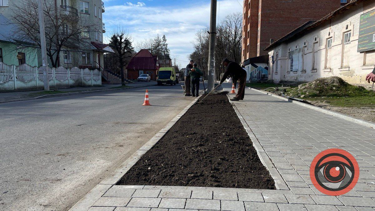 По вулиці Чайковського висаджують клумбу 1