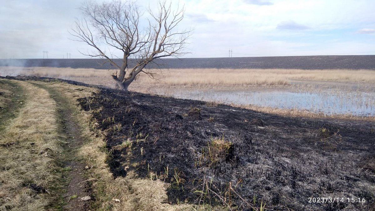 Суха трава горіла на Городенківщині 6