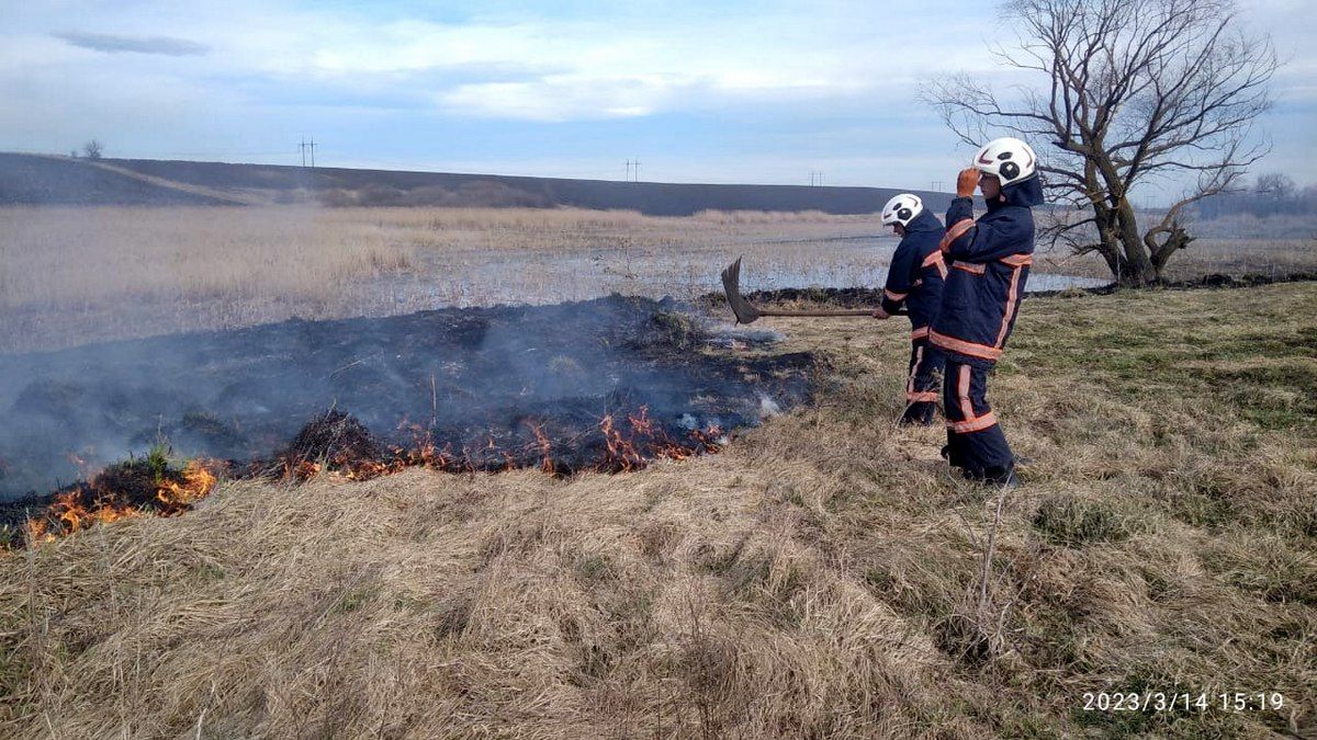 Суха трава горіла на Городенківщині 1
