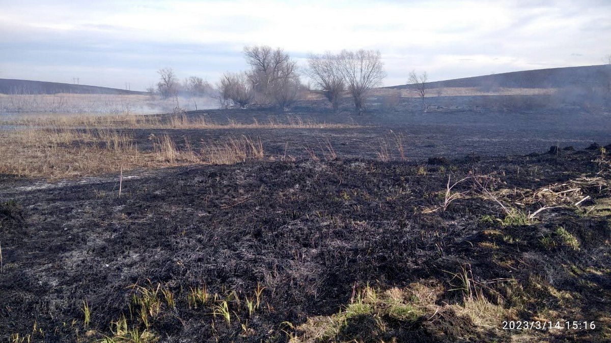 Суха трава горіла на Городенківщині 2
