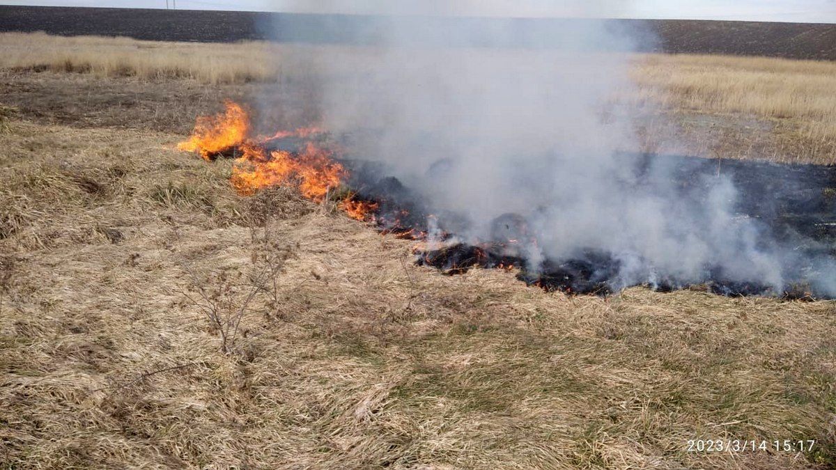 Суха трава горіла на Городенківщині 3