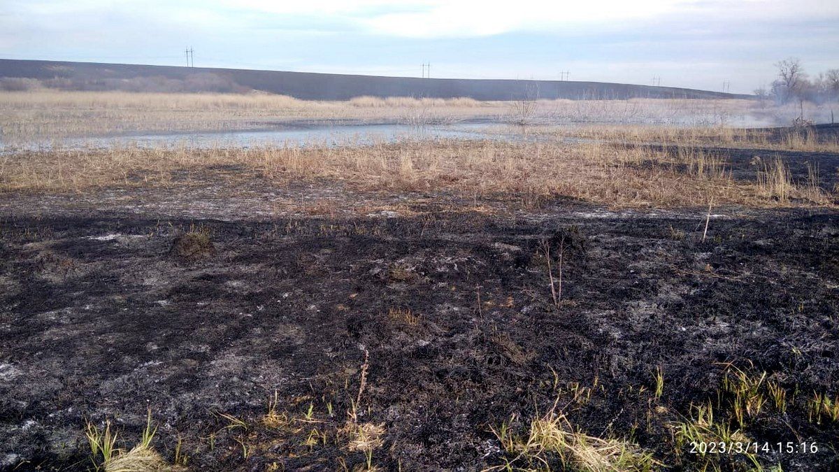 Суха трава горіла на Городенківщині 4