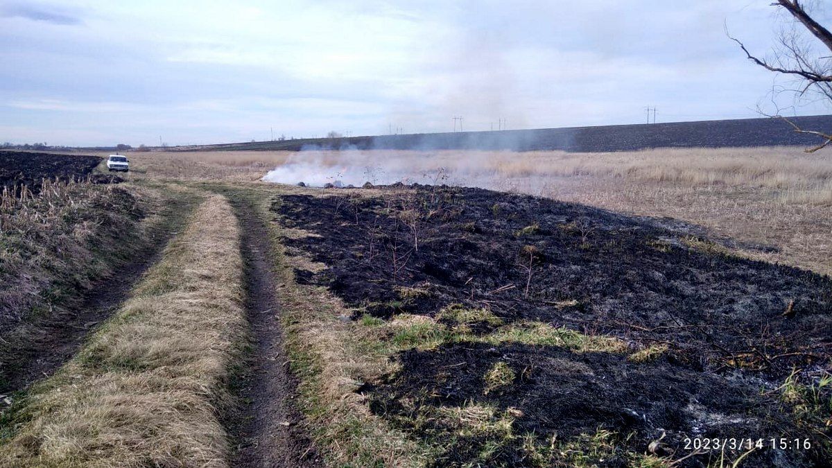 Суха трава горіла на Городенківщині 5