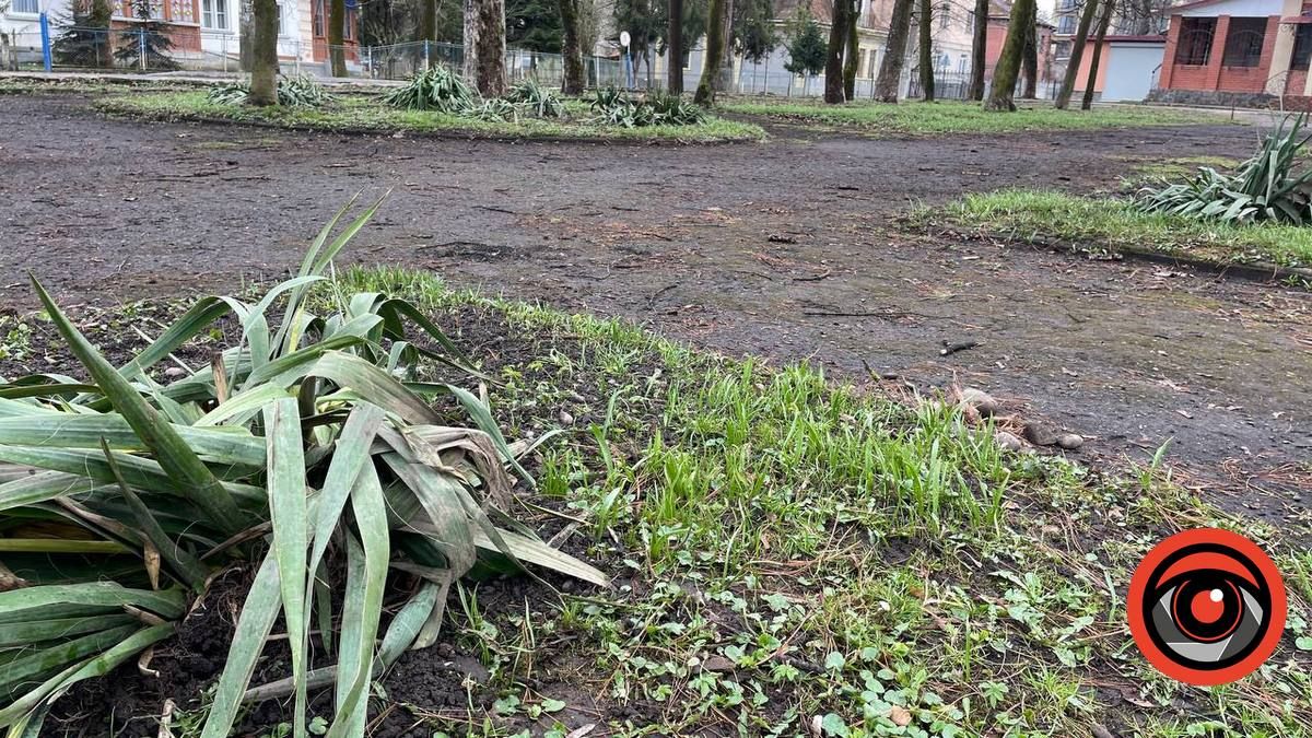 Фен-шуй по-коломийськи: що змінилось у міському парку 6