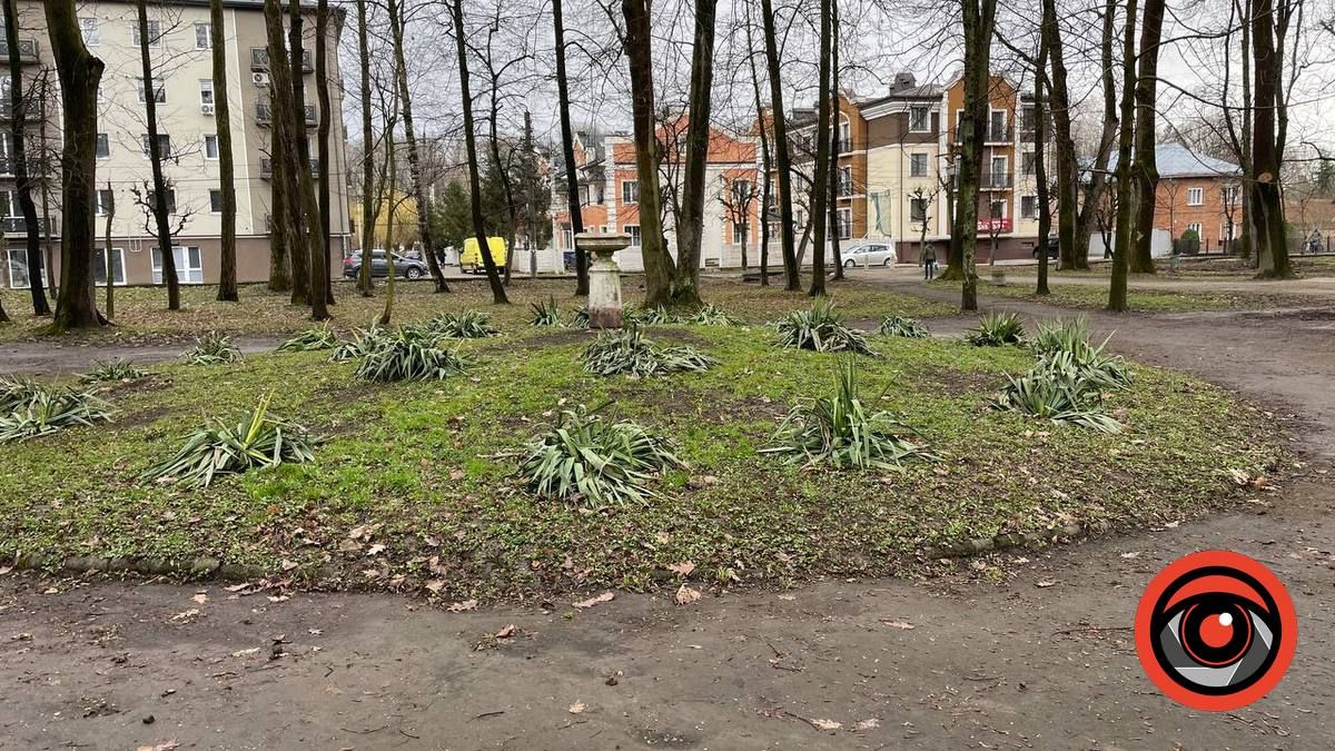 Фен-шуй по-коломийськи: що змінилось у міському парку 9