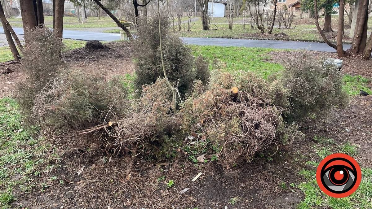 Фен-шуй по-коломийськи: що змінилось у міському парку 1