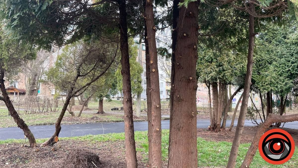 Фен-шуй по-коломийськи: що змінилось у міському парку 2