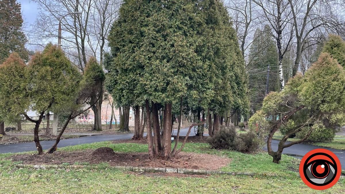 Фен-шуй по-коломийськи: що змінилось у міському парку 4