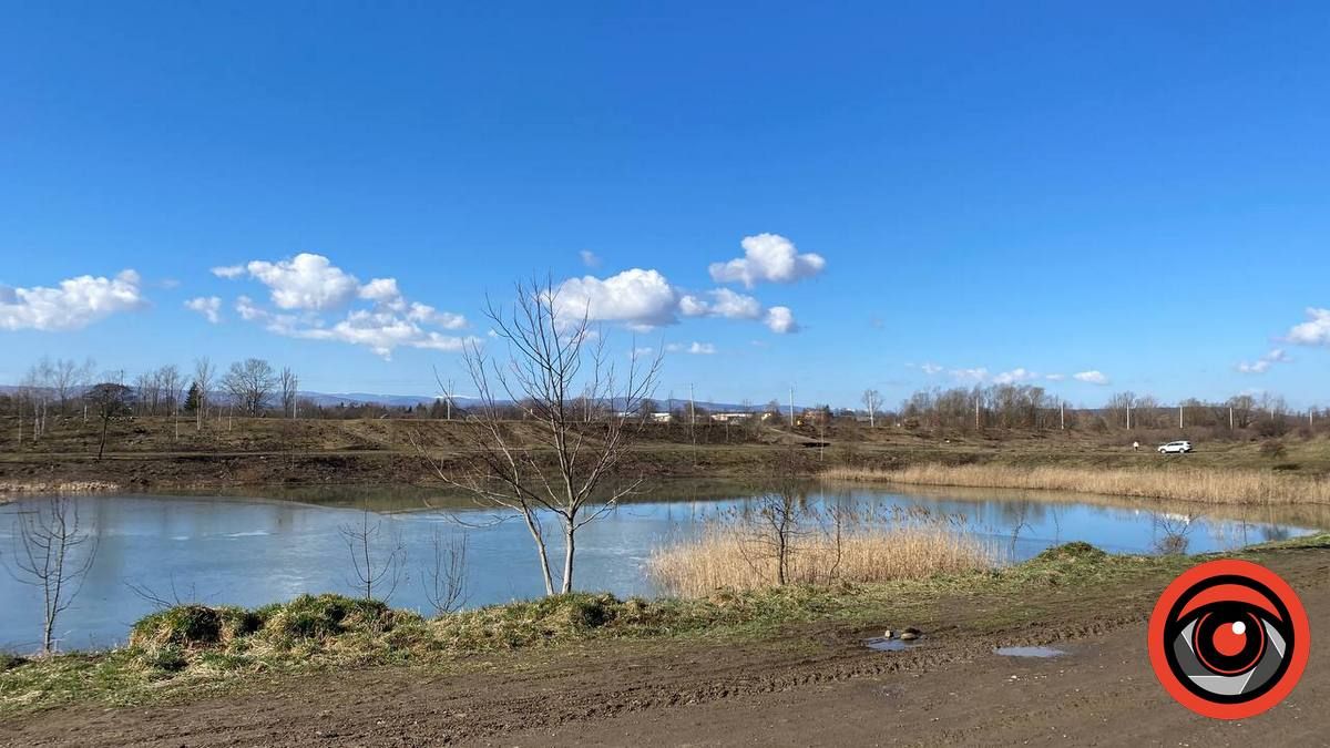 Спасти не можна знищити: як активісти Коломиї пропонують врятувати озеро 5